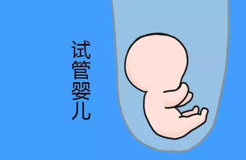 陈思远