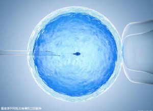 显微操作